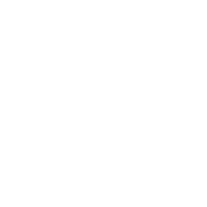 Ymca Newcomer Connections Programs